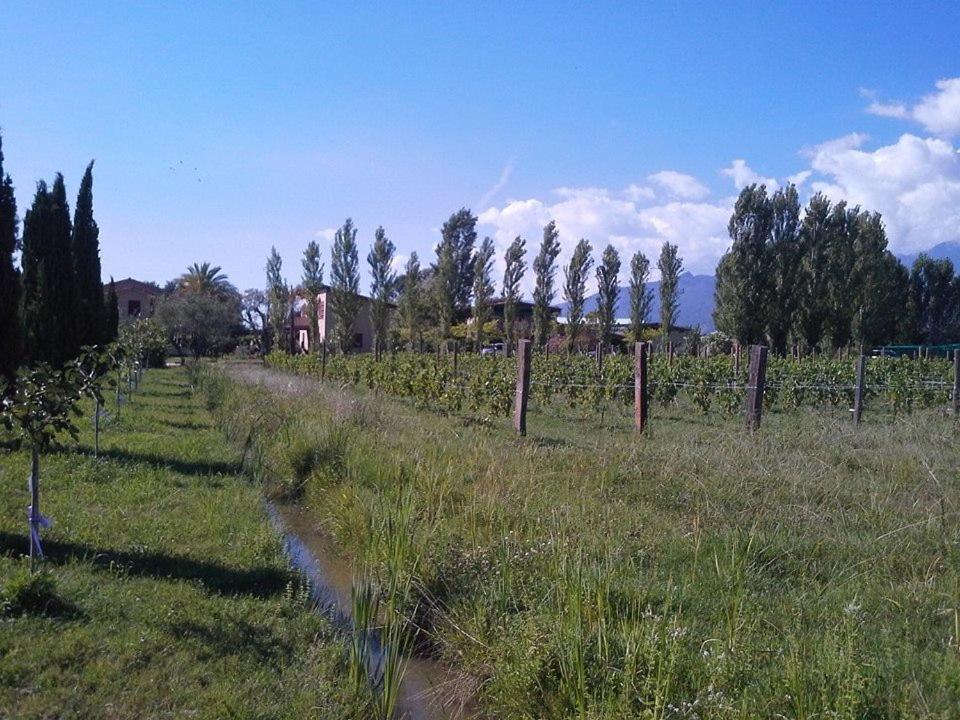 Апартаменты Fattoria Il Giardo Пьетразанта Экстерьер фото