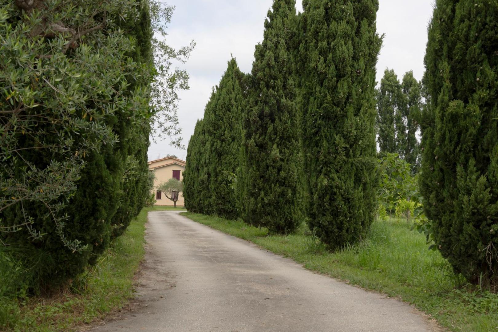 Апартаменты Fattoria Il Giardo Пьетразанта Экстерьер фото