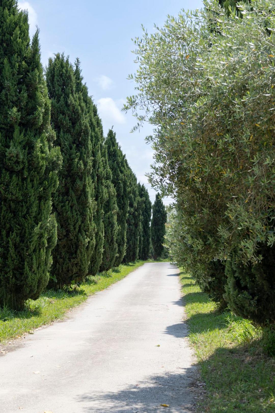 Апартаменты Fattoria Il Giardo Пьетразанта Экстерьер фото